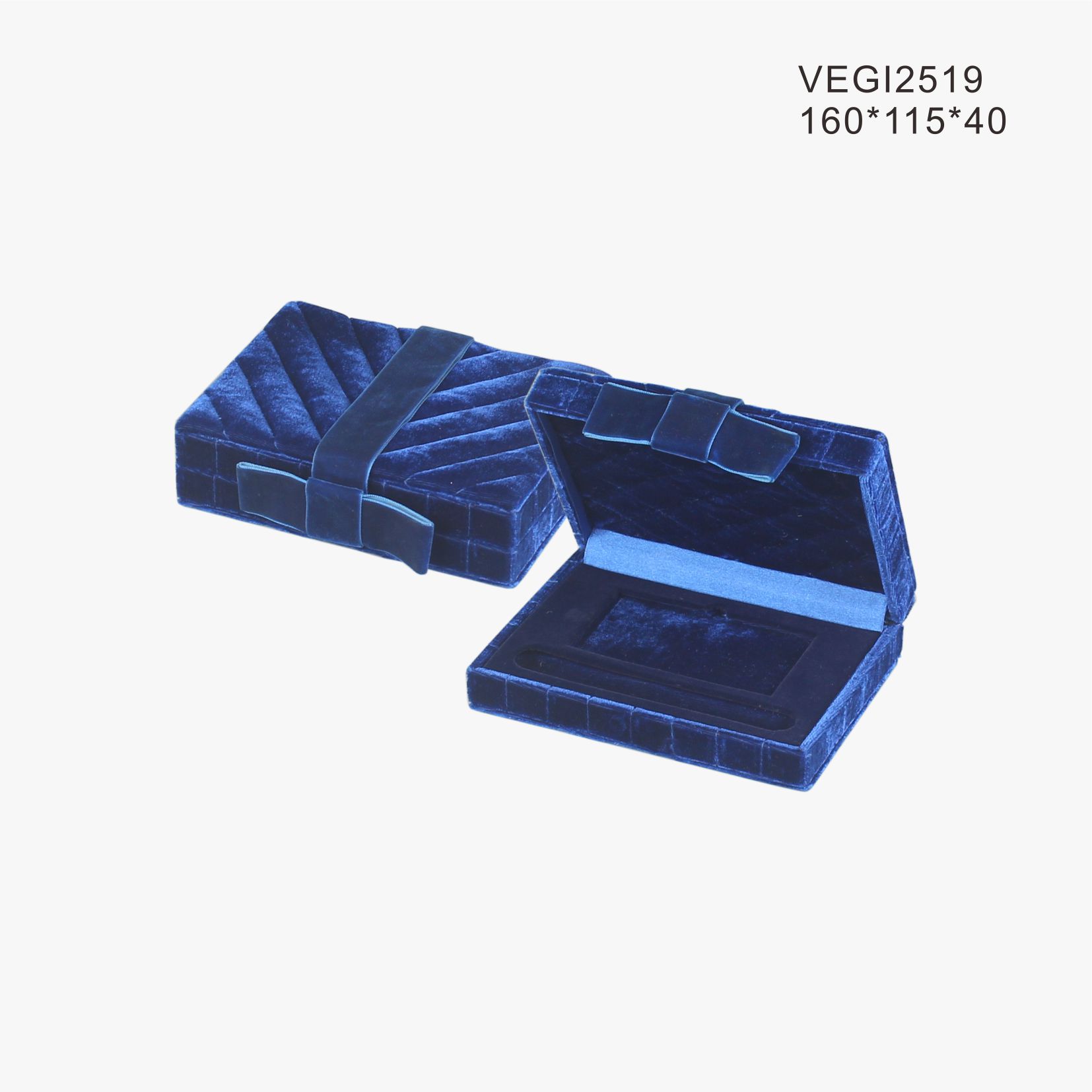 VEGI2519