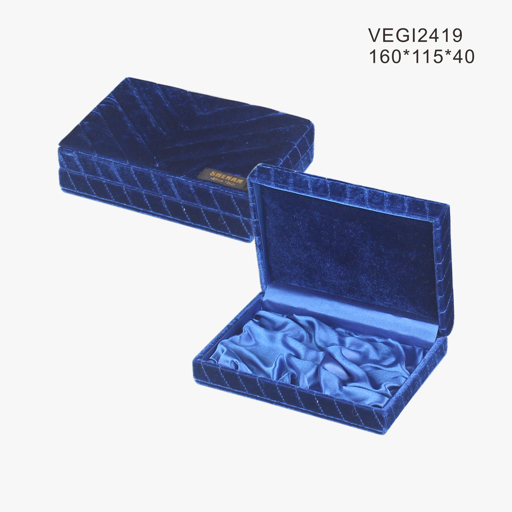 VEGI2419