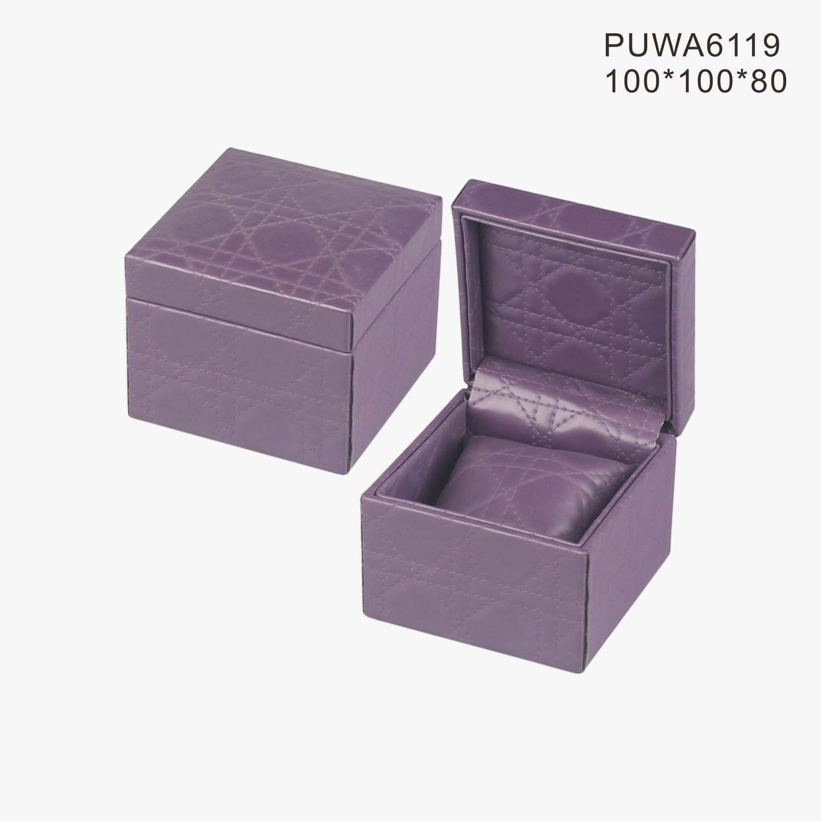 PUWA6119
